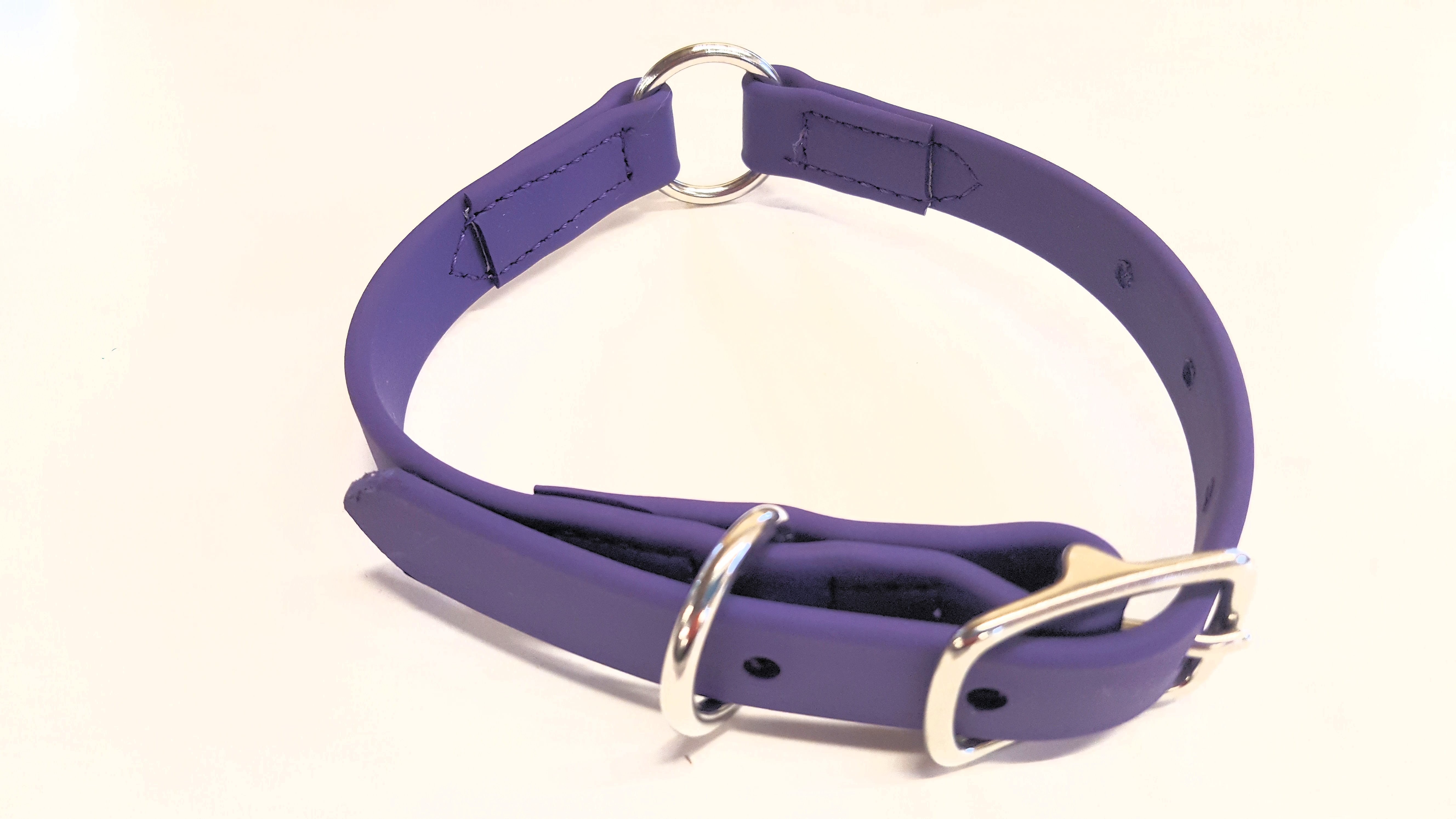 Dog Collar 3/4" Wide with Middle Ring