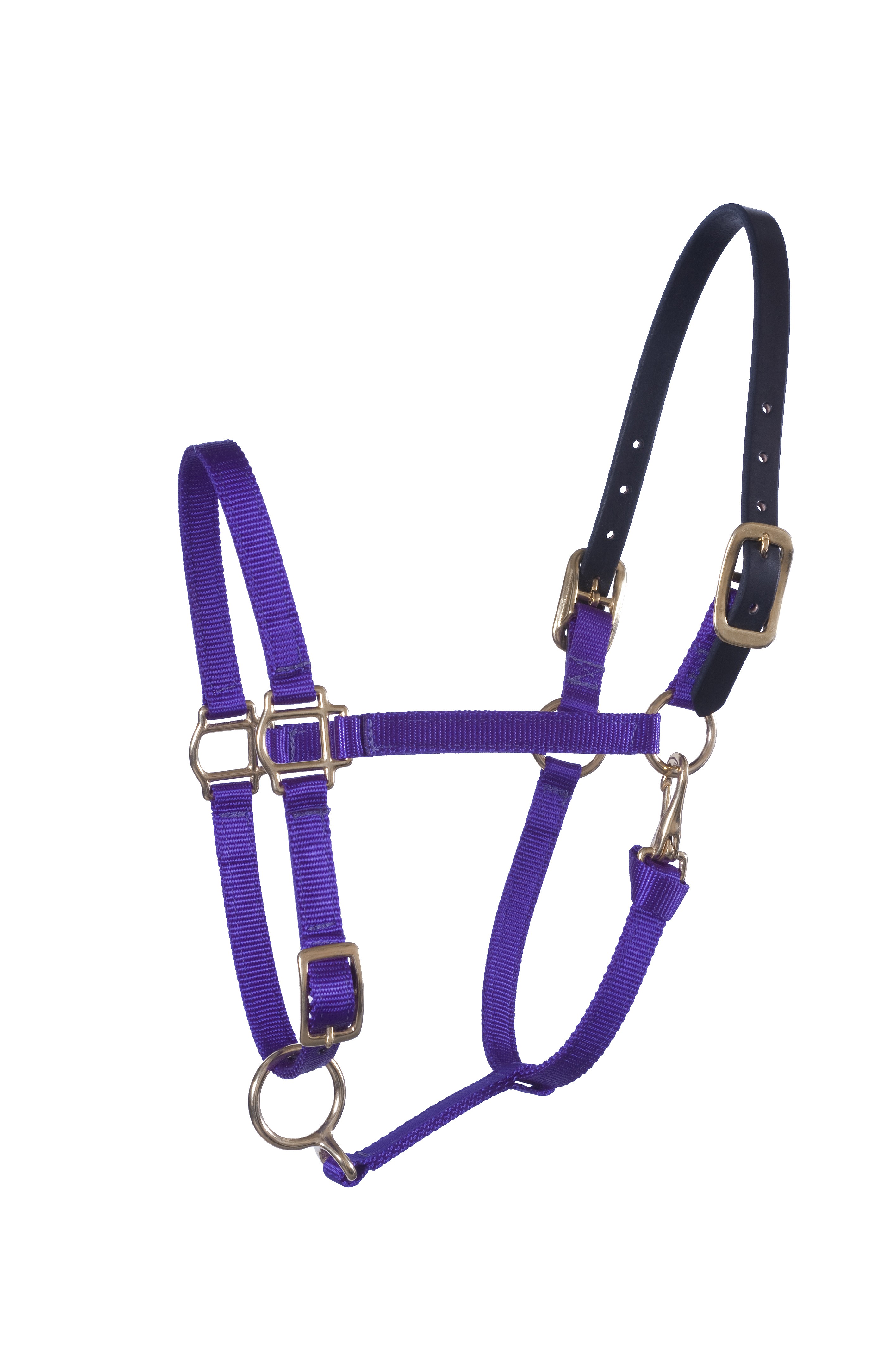 Nylon Stable Halters with leather or Beta crown & solid brass hardware