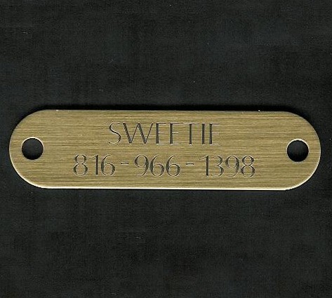 Brass Engraved Dog Collar Plate