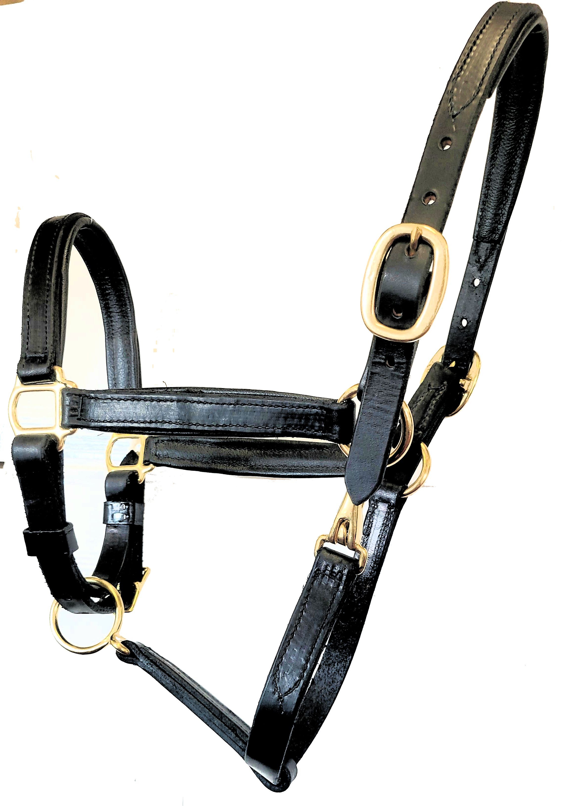3/4" Leather Padded Halters in Black or Brown