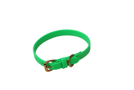 Dog Collar 3/4" wide- Lime Green