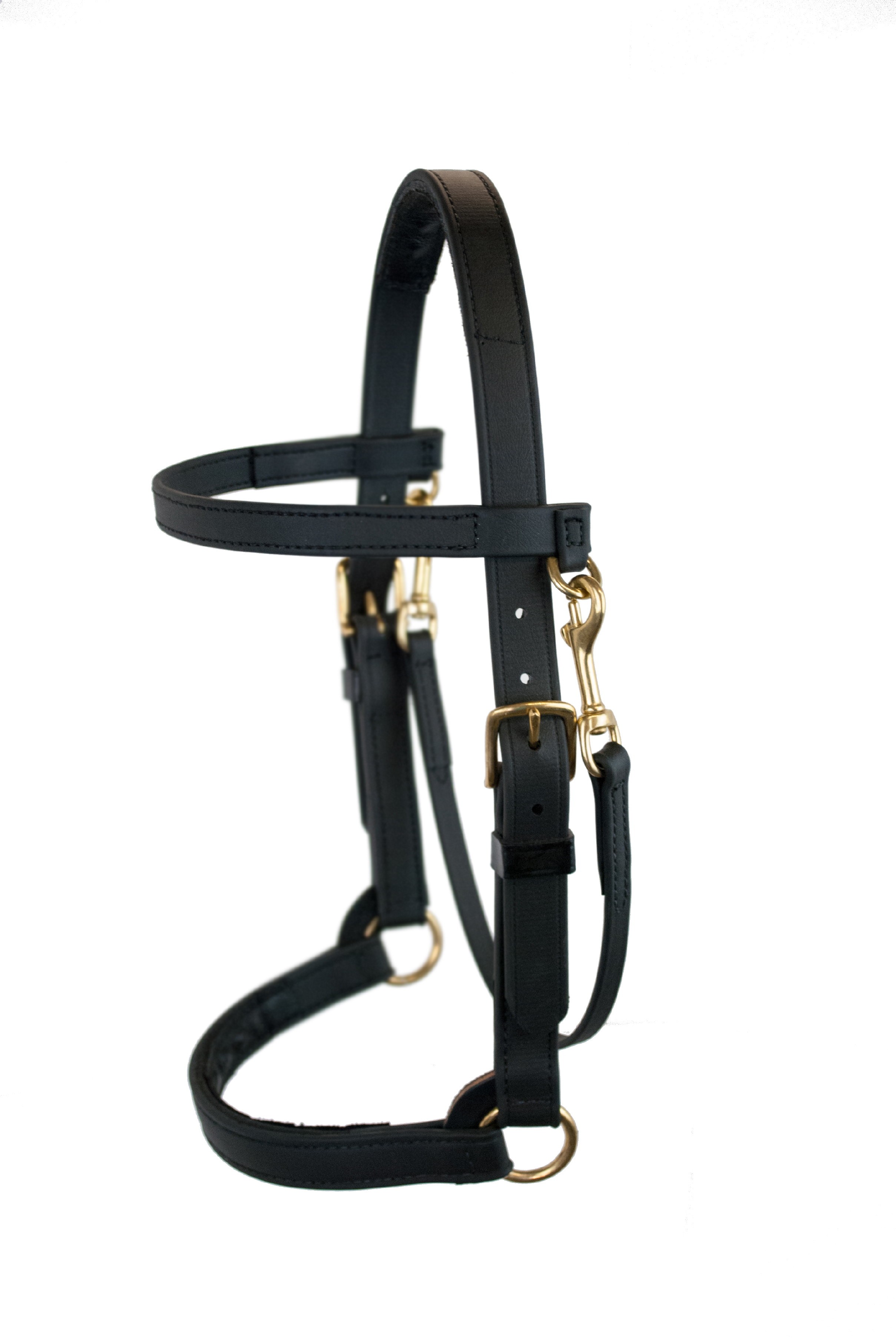 Heavy Duty 1" wide Beta Training Halter with Ball Bearings in Nose Band- Black