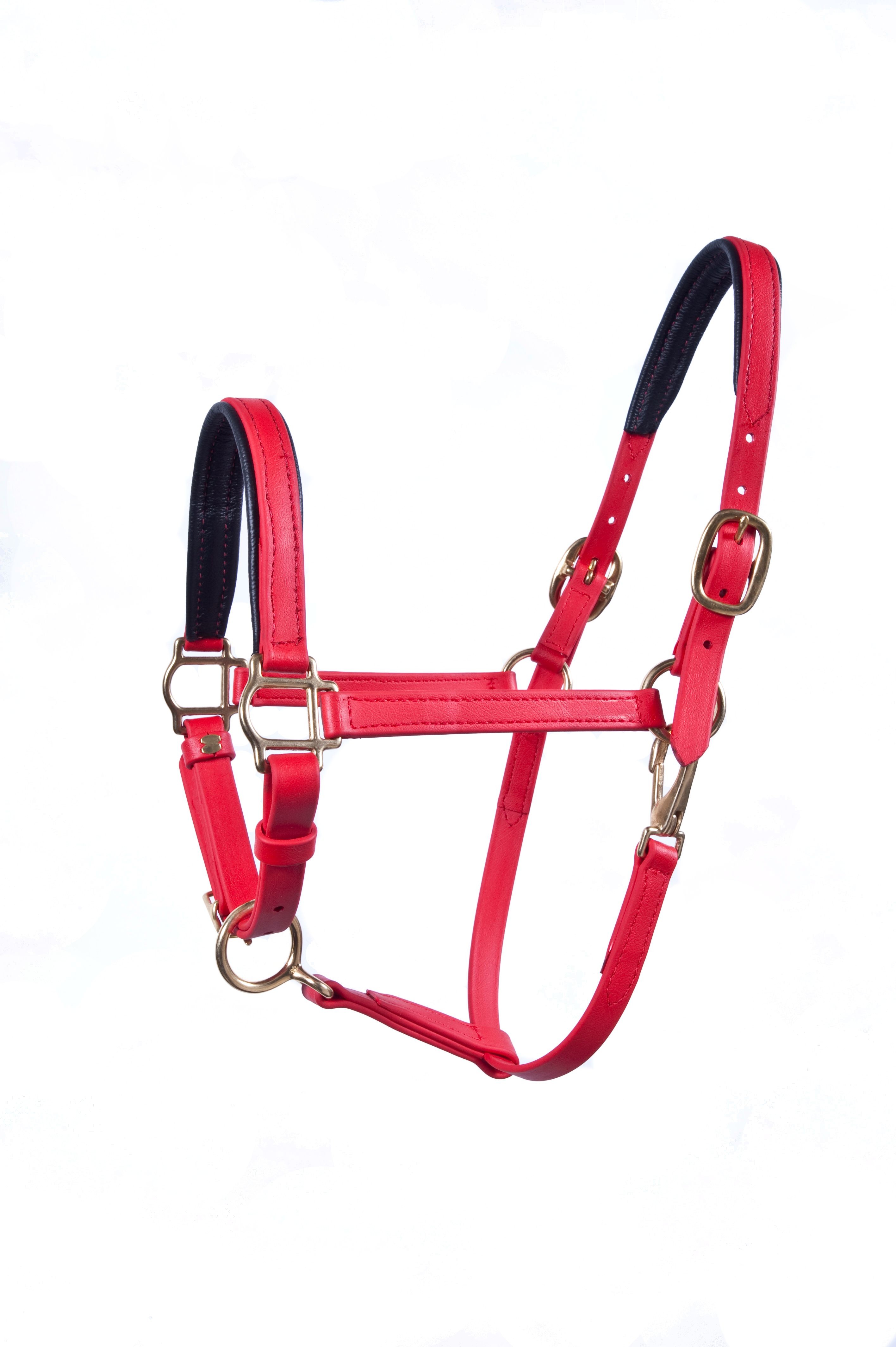 3/4"  Beta Padded Nose and Crown Halter.  Available in many colors.