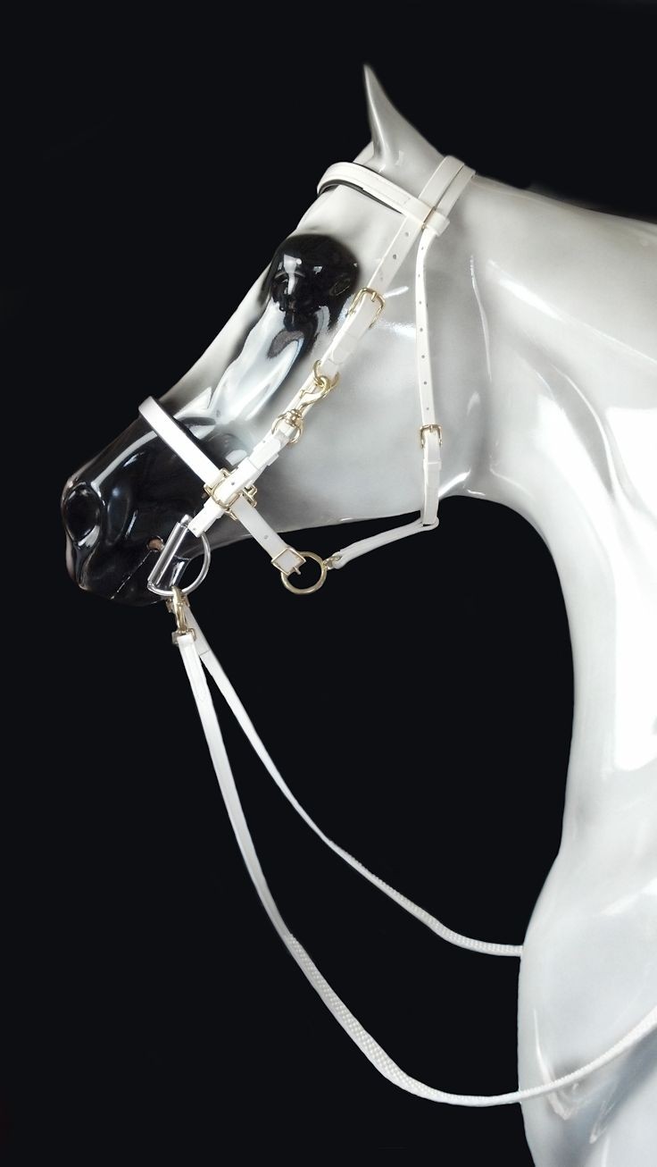 Halter Bridle White Beta Padded in Solid Brass