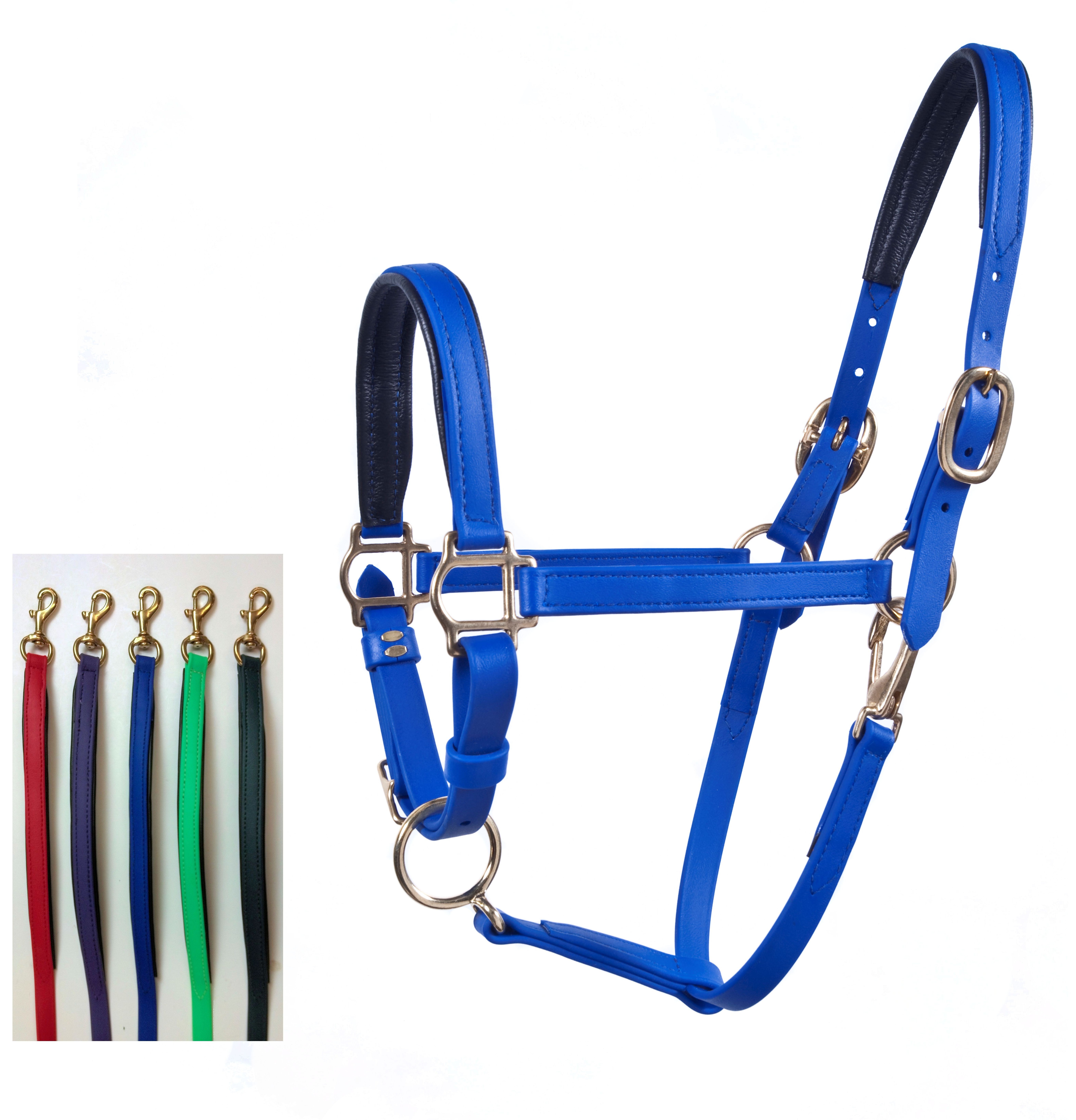 Padded Stable Lead    Many color choices