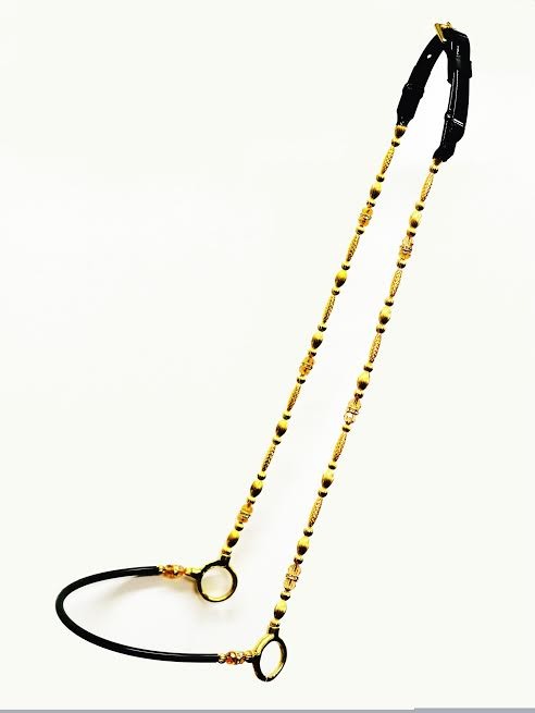 Gold Beaded Cheek and sides of nose band  Show Halter