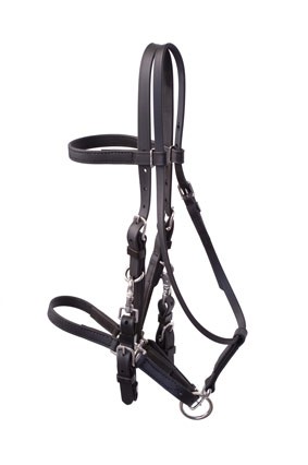 Halter Bridle   Available in Many Beta Colors.