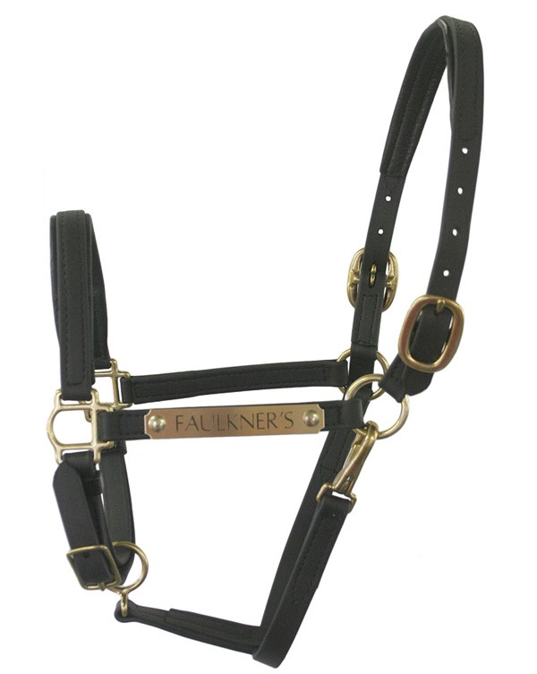 3/4" Beta Padded Nose and Crown Halter with Brass Engraved Name Plate