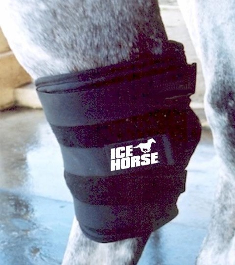 ICE HORSE ™ Hock Wrap with 3 Cold Inserts