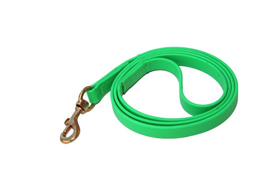 Dog Leash - Lime Green