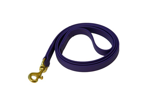48" Dog Leash - Purple