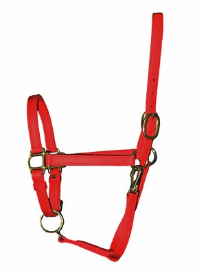 3/4" Wide Standard Beta Halters in many colors