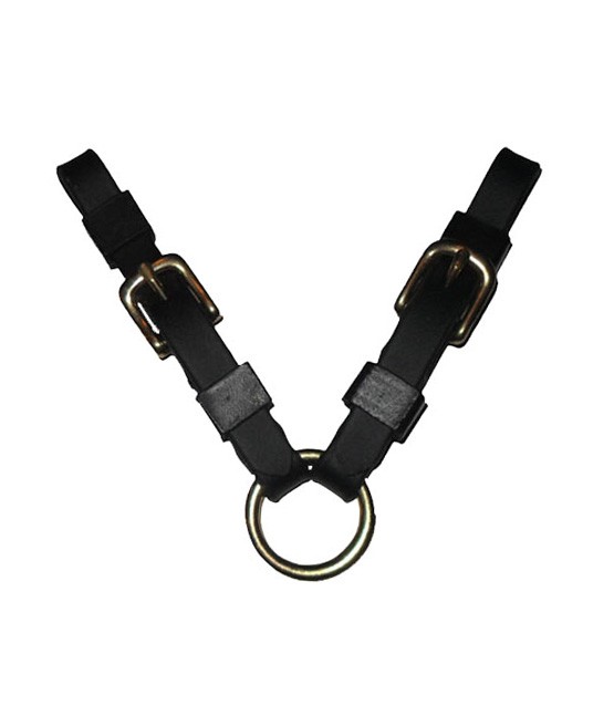 Sport Horse Converter with Buckles in Beta or Leather