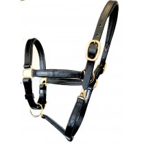 3/4" Leather Padded Halters in Black or Brown