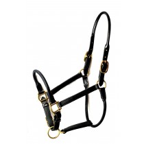 Rolled Nose, Throat & Crown Stable Halter for Arabians 