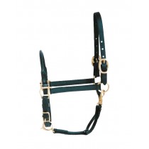 Rolled Nose and Throat All Leather Halter.