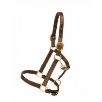 1" Triple Stitched All  Leather Halter