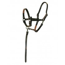 Foal, Weanling or Small Yearling Halter w/Catch Made w/Cheap..Leather for Easy Breaking