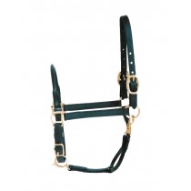 Rolled Nose & Throat Stable Halter for Arabians Beta and Leather