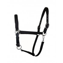 3/4" Beta Padded Nose and Crown Halter 